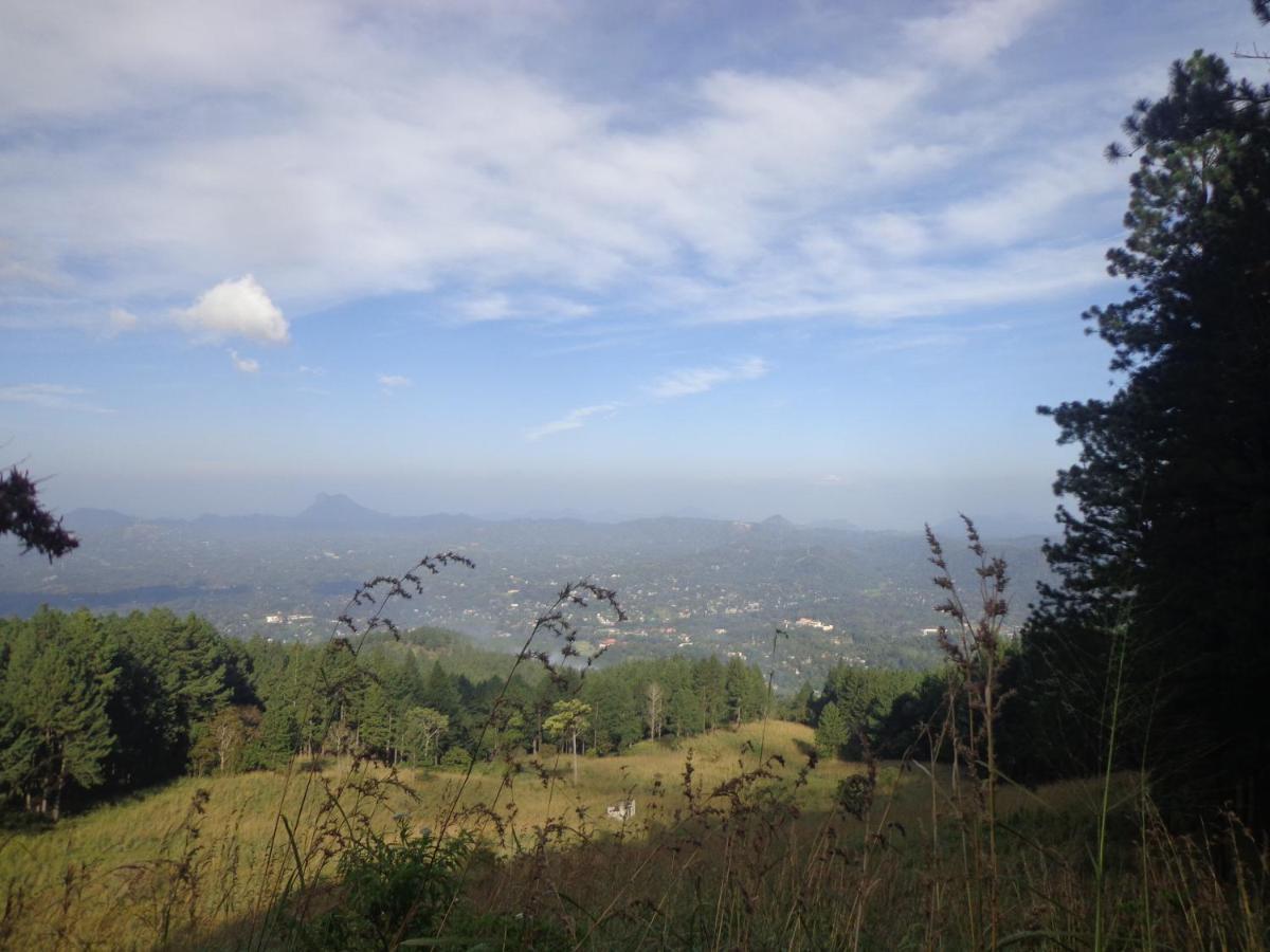Nisha Homestay Inn Peradeniya Εξωτερικό φωτογραφία